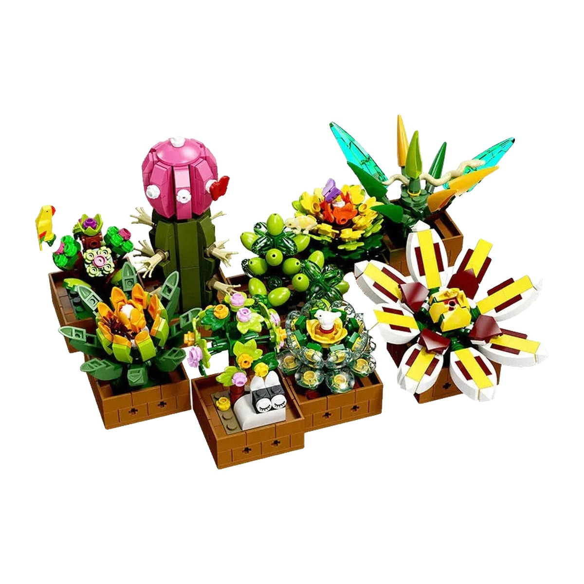 LEGO Succulentes aux feuilles charnues rangées en rosettes, chacune plantée dans son bac carré en bois brun
