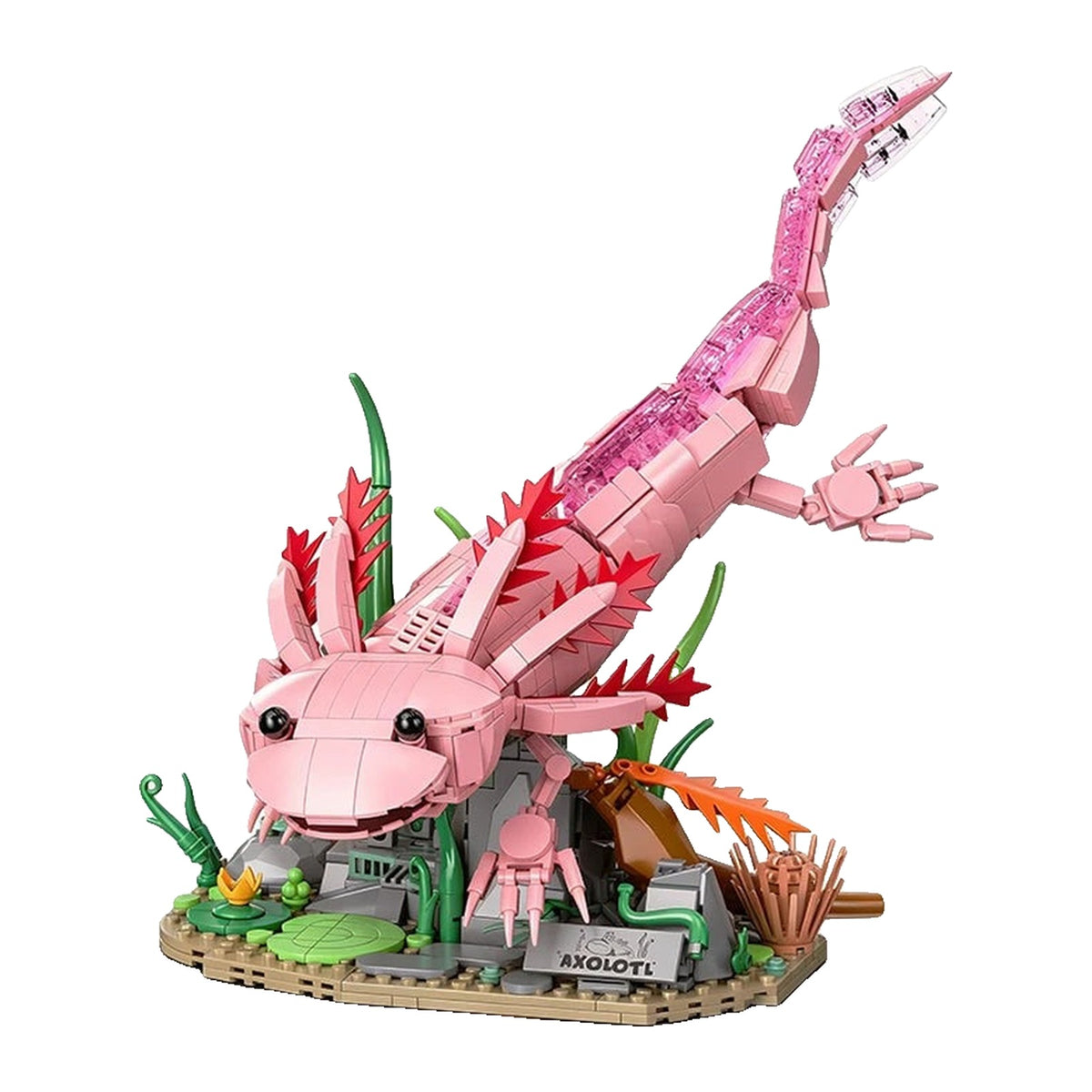 LEGO Axolotl remontant vers la surface, collerette rouge déployée au-dessus de son fond d'étang