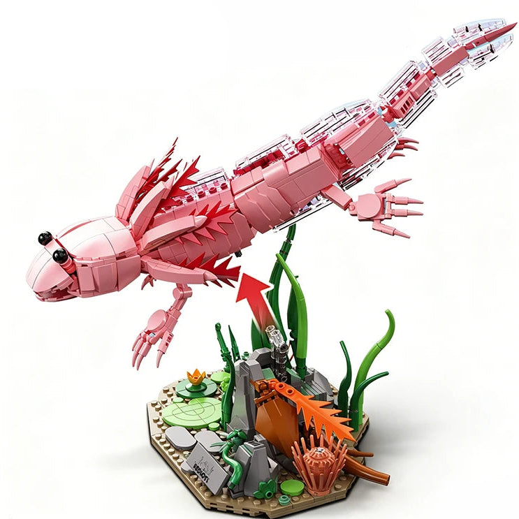 Le fond d'étang livré avec l'axolotl : ses galets, ses roseaux et le support sur lequel il s'appuie